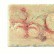 Бордюр настенный Serenissima Marble style Listello Botticino Beige 5*20