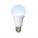 Лампа светодиодная (UL-00004022) E27 13W 6500K матовая LED-A60-13W/DW/E27/FR/NR